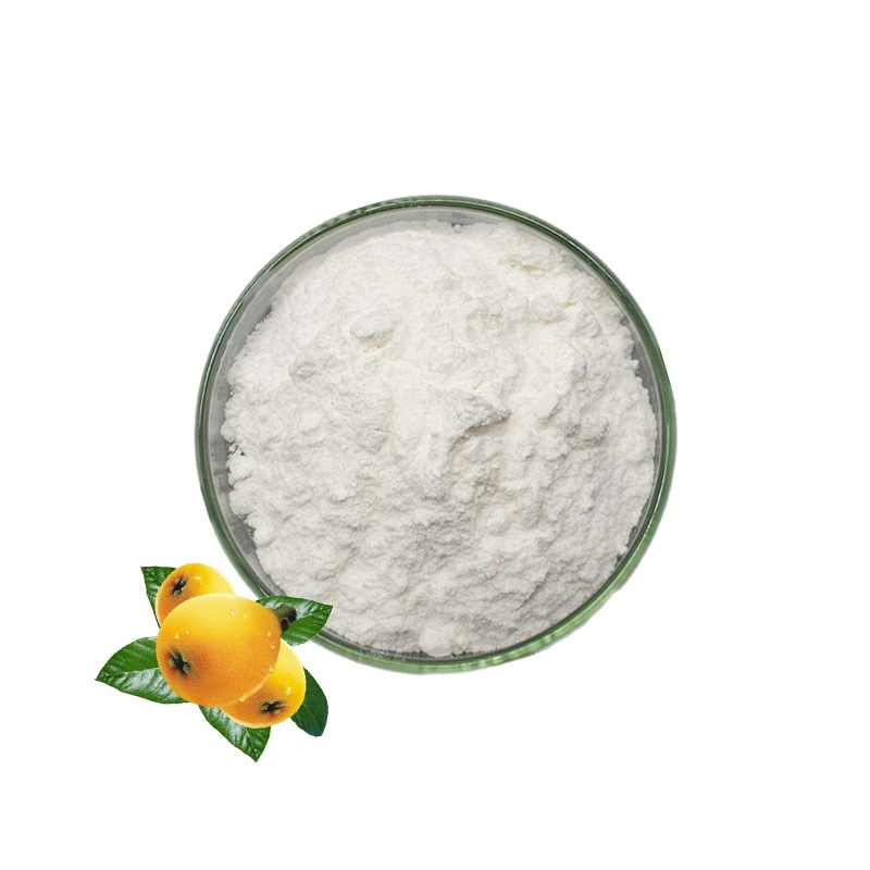 Herbal Extract Powder Cosmetic Grade Loquat Leaf Extract 90% Ursolic Acid for Antisepsis CAS 77-52-1