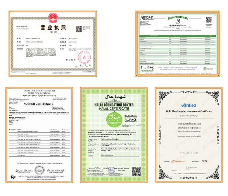 Wholesale Bulk Natural Plant Extract Supplement Pumpkin Extract Pumpkin Powder