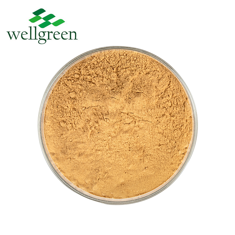 Bulk Sale Angelica Root Extract Powder Natural Herbal Angelica Extract