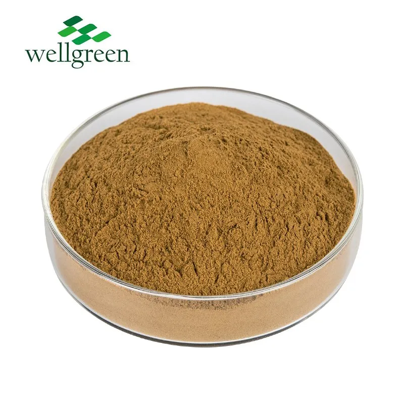 Chaga Mushroom Extract Powder Product