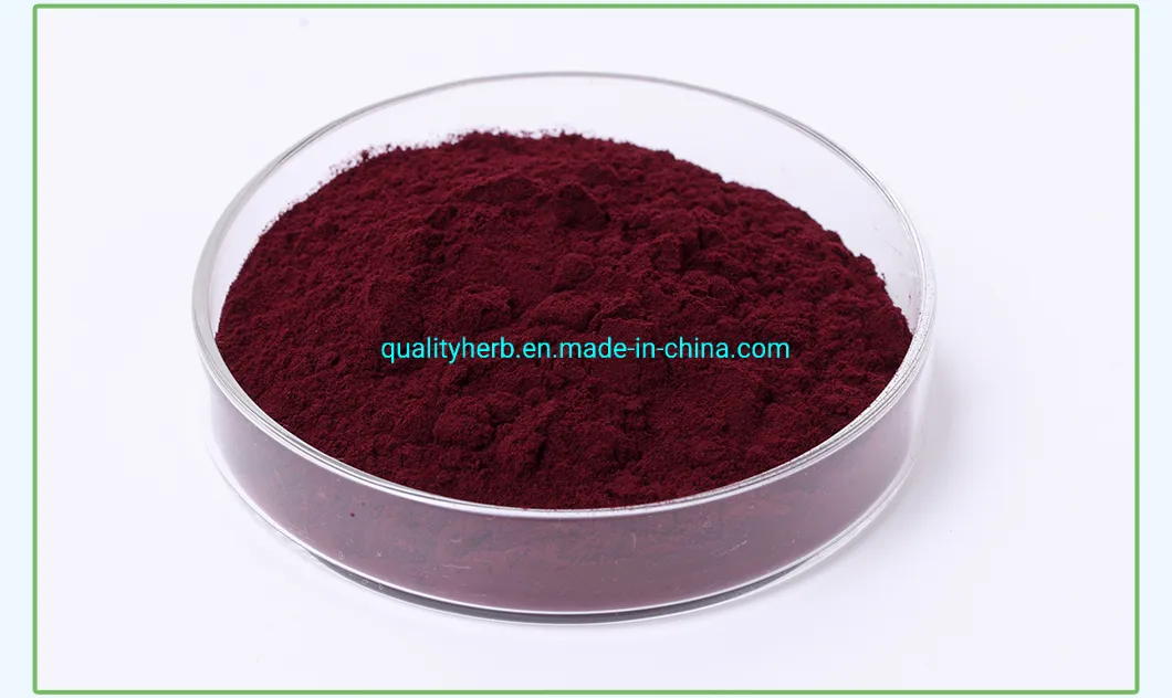 Bilberry Extract Image 5