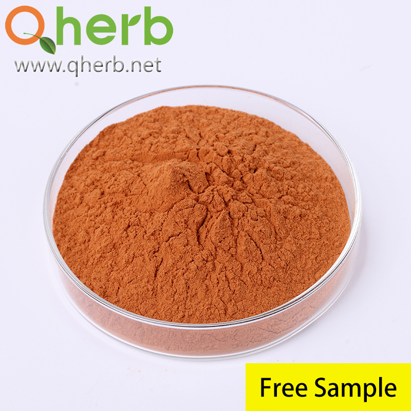 Health Food Products Herbal Tea Extract