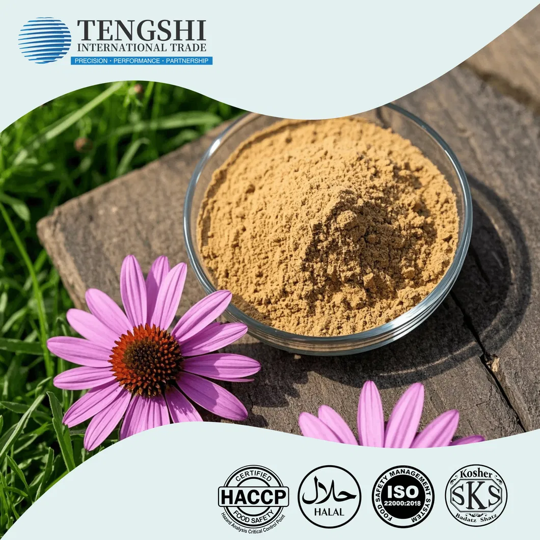 Echinacea Purpurea Extract Overview