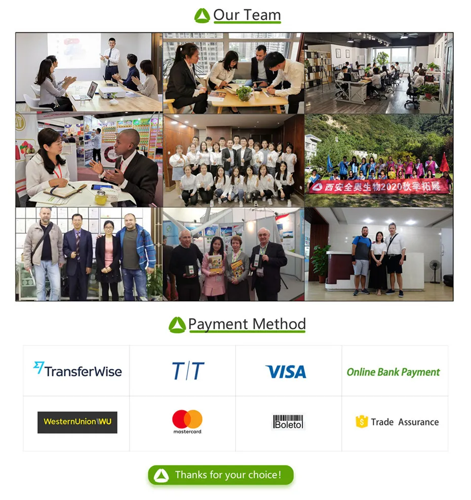 Team and Payment Methods