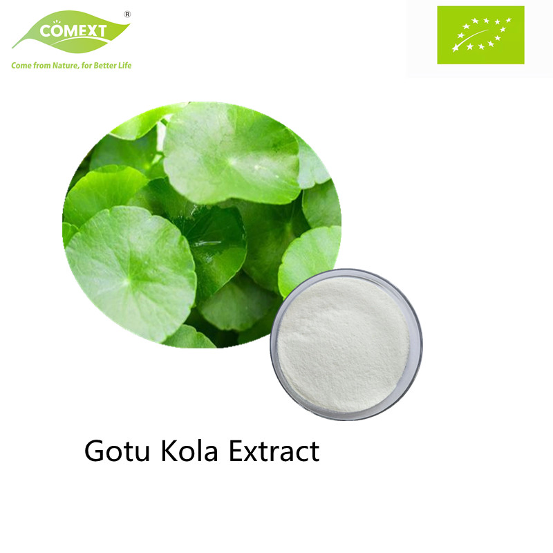Comext Plant Extract Herbal Extract Cosmetics Ingredients Gotu Kola Asiatic Acid Centella Asiatica Extract Triterpenoid Glycosides Powder