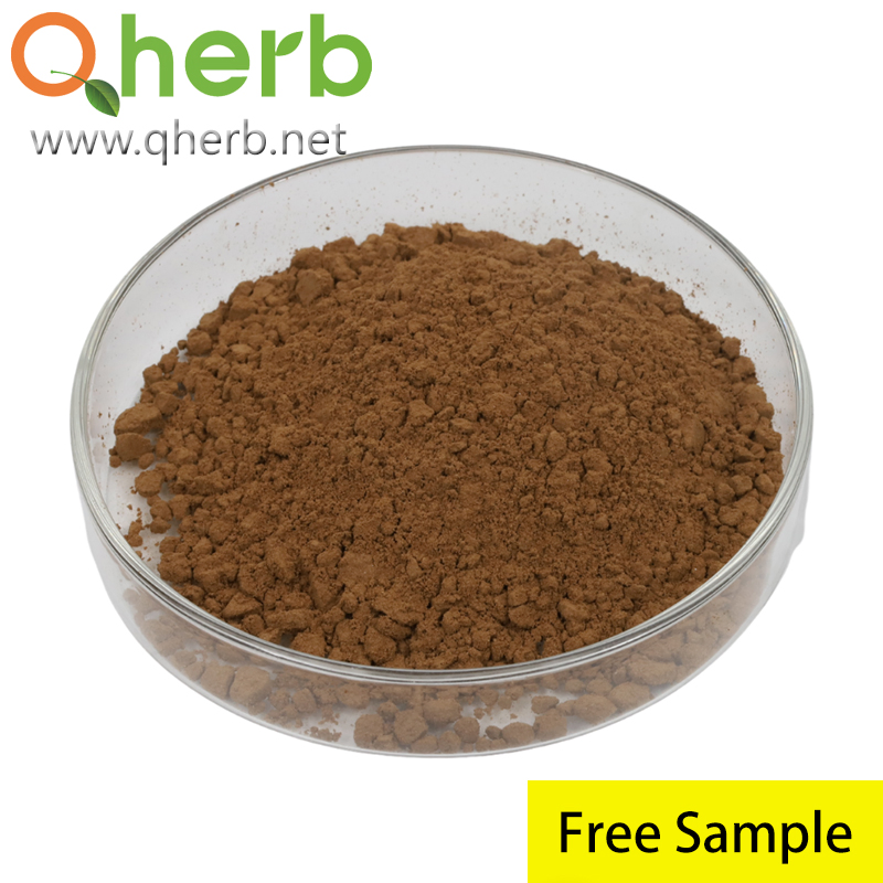 Polygonum Cuspidatum Extract Trans-Resveratrol 98% HPLC Free Sample Herbal Extract