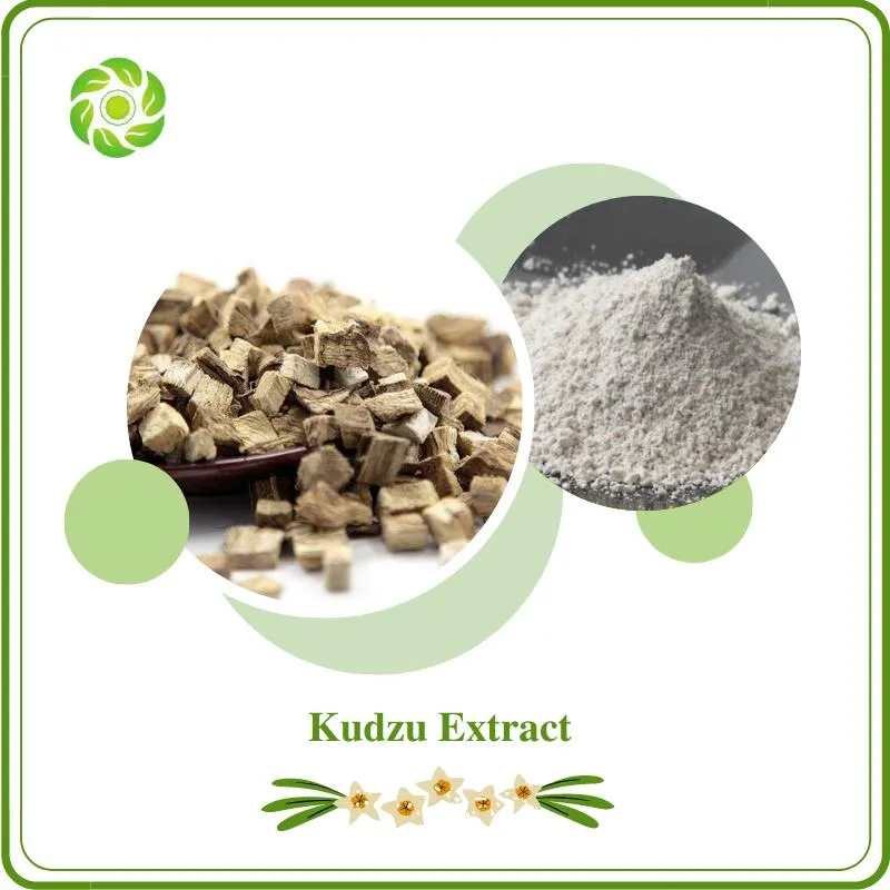 Kudzu Extract