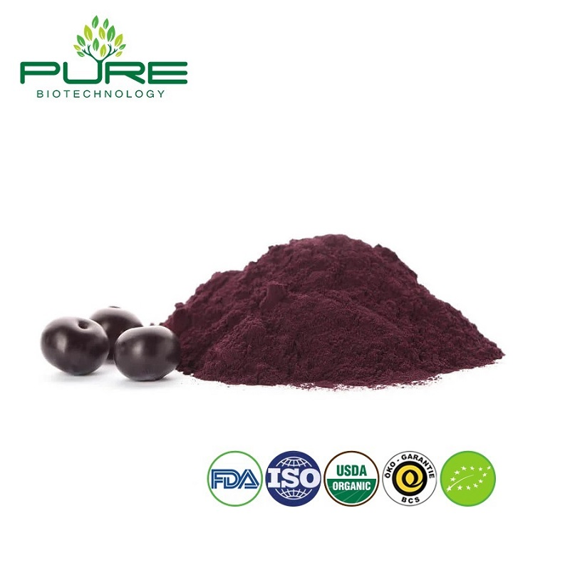 Organic Acai Berry Powder - Natural Fruit Extract for Instant Drinks