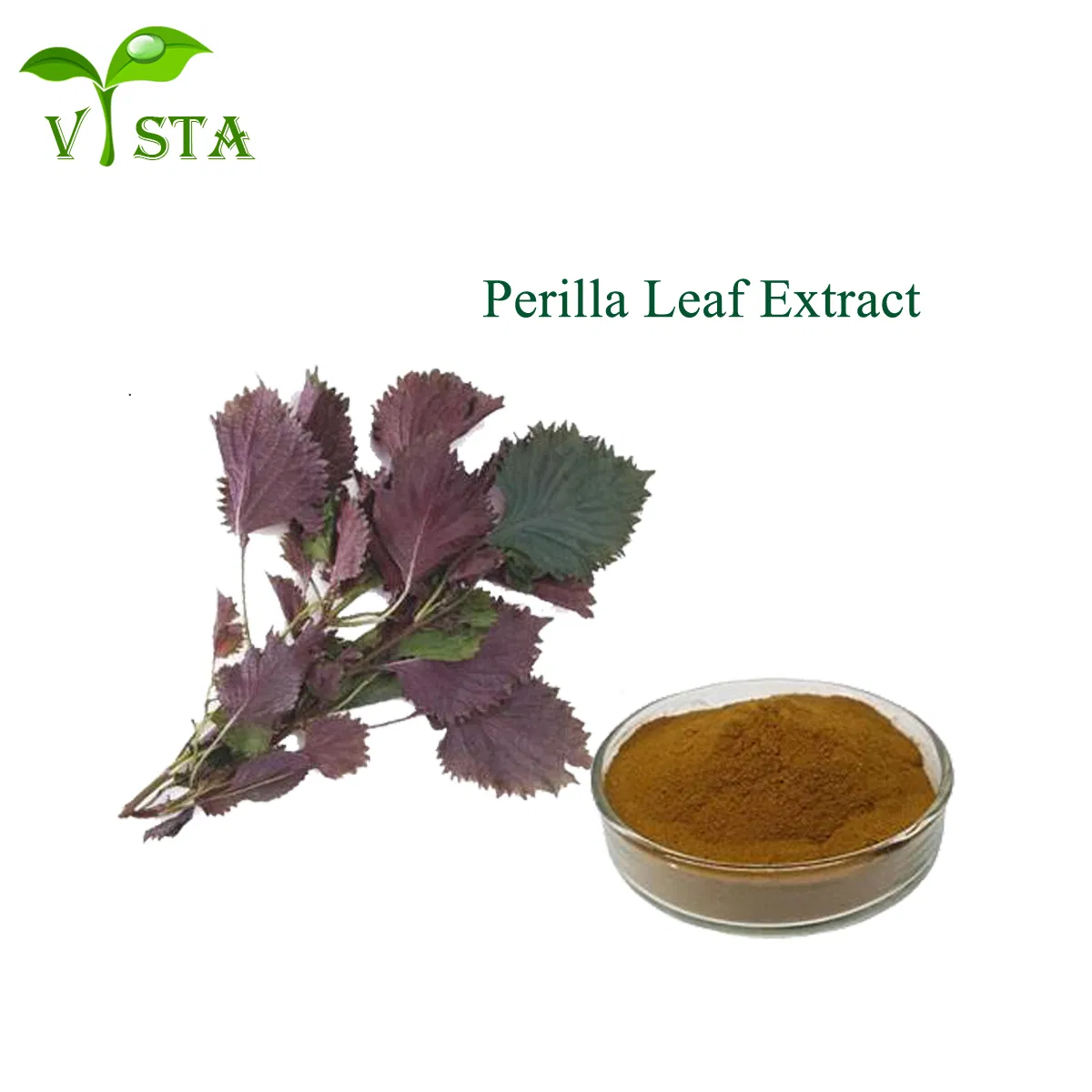 High Quality Hot Sale Plant Extract Free Sample Natural Perilla Leaf Extract Powder