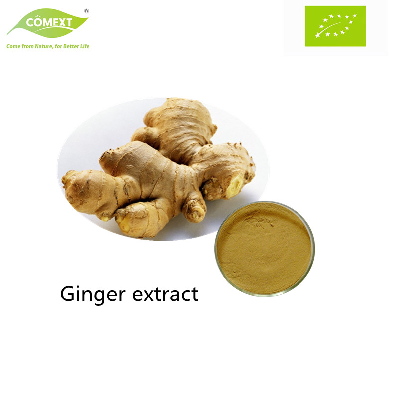 Comext Natural Dried Pure Water Soluble Best Quality Best Price Organic Ginger Root Extract Powder