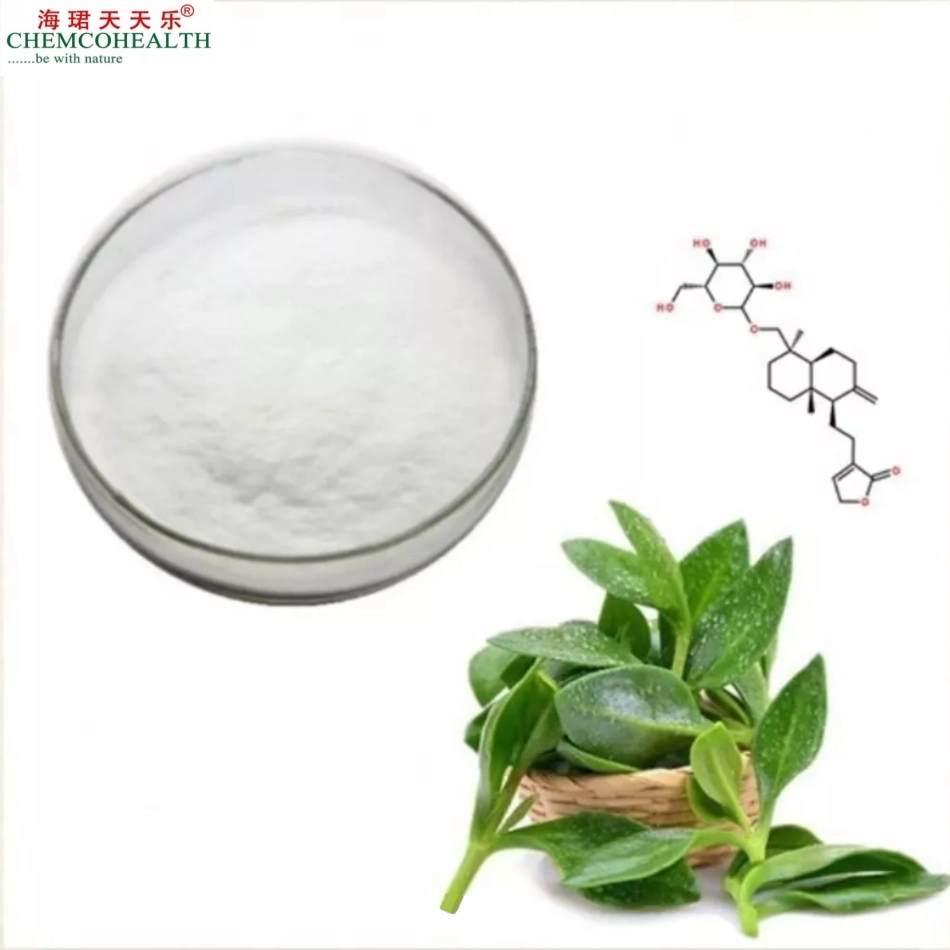 Plant Herbal Extracts From Nature Have Medicinal Nutritional Value Andrographis Paniculata Extract
