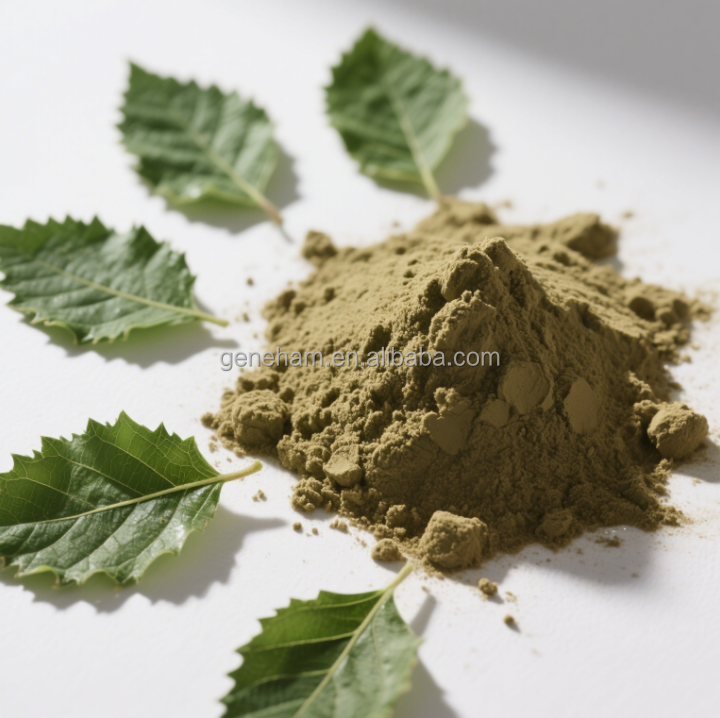Natural Dnj Mulberry Leaf Extract 1-Deoxynojirimycin Food Grade Plant Extract