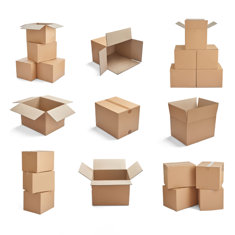 Pure Plant Extract Powder Fenugreek Saponin 50% Organic Fenugreek Seeds Extract