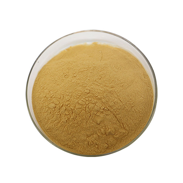 Premium Mimosa Extract Powder - 10: 1 Mimoside Root Bark
