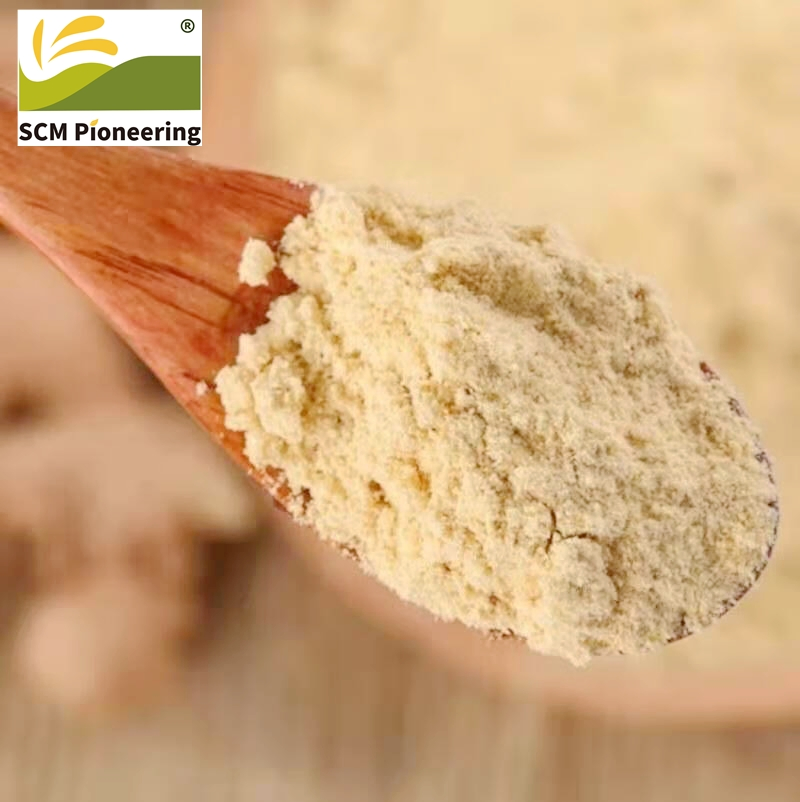 Wholesale Price Ginger Extract 10: 1 Food Grade Ginger Extract Powder