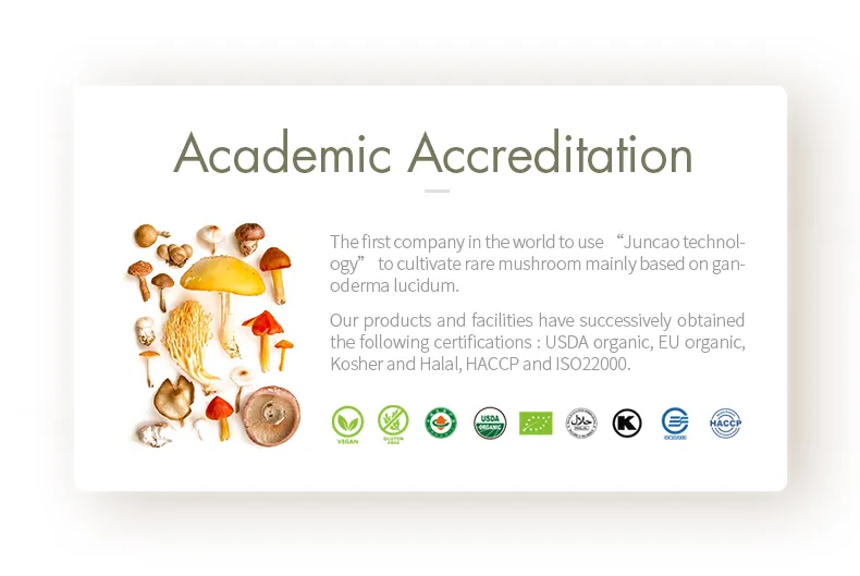 Maitake Mushroom Extract Powder