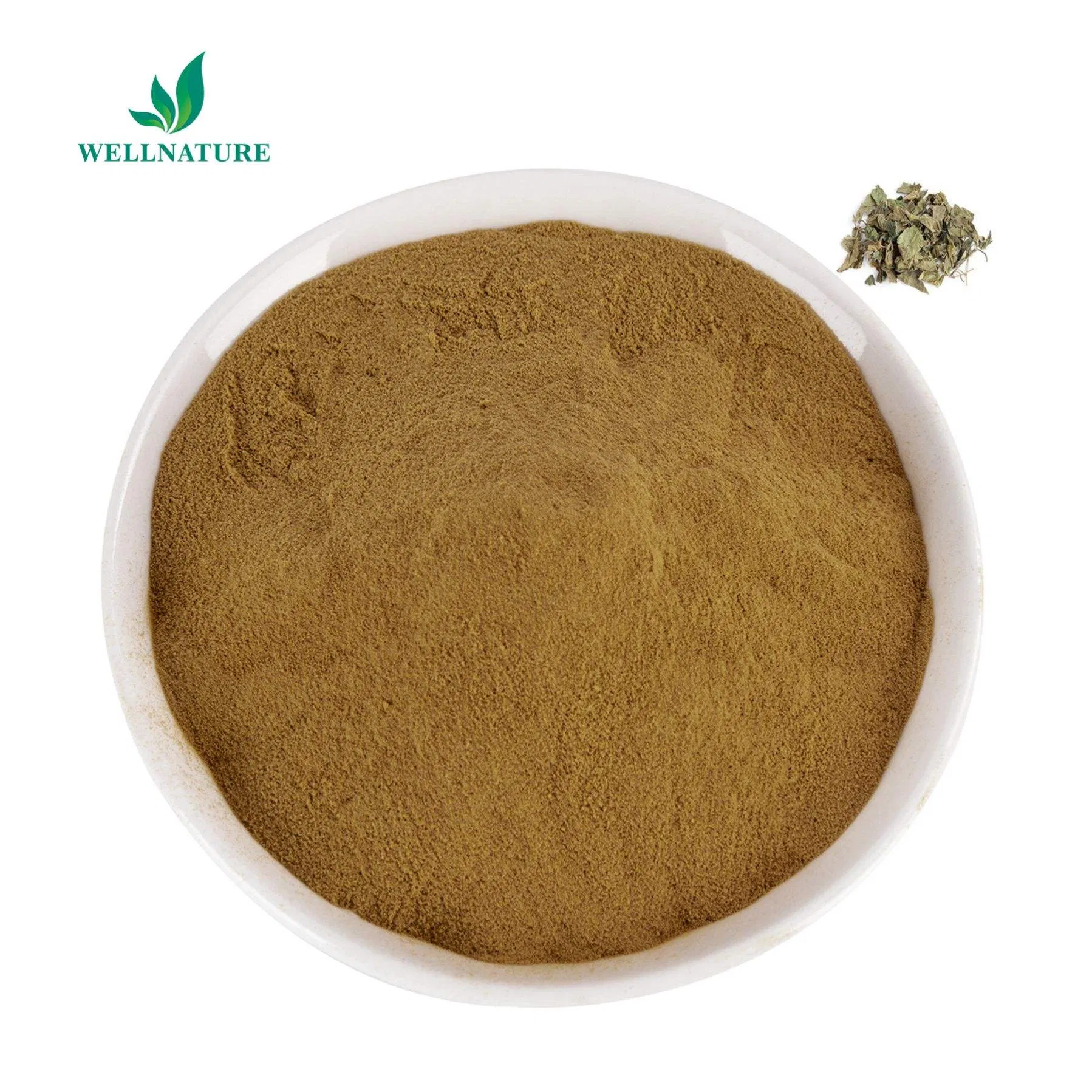 Rich in Antioxidants and Flavonoids for General Wellness, Traditional Herbal Tea and Health Products Mulberry Leaf Extract