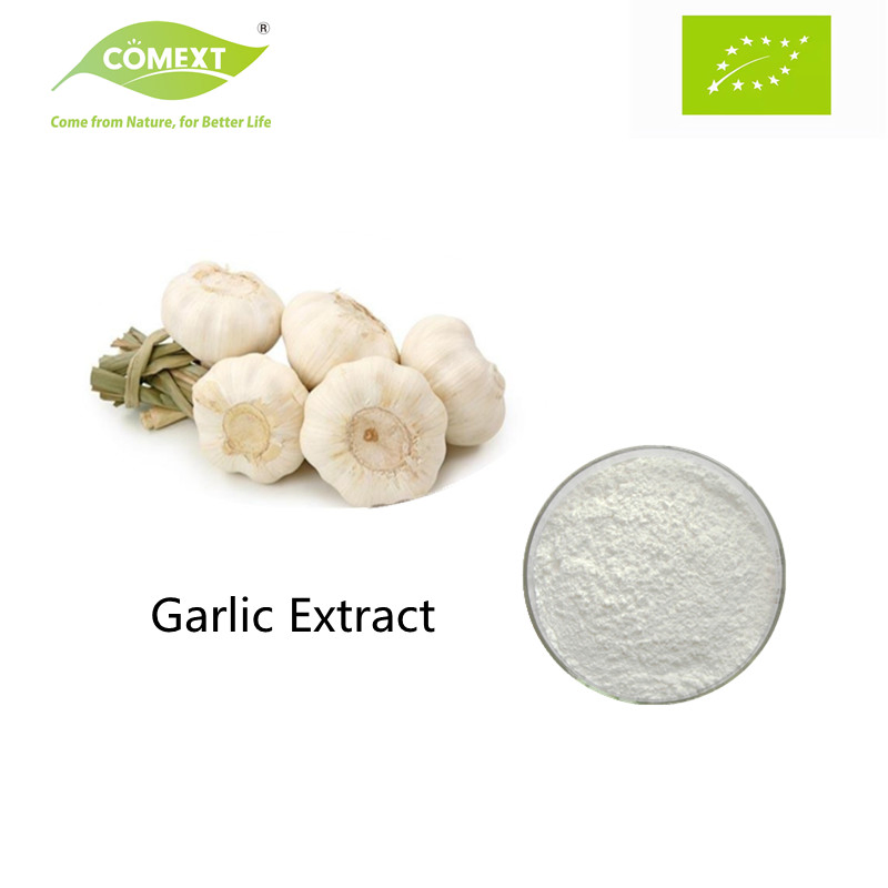 Comext Herbal Extract Factory Supply Bulk Garlic Extract Alliin 1% Pure Allicin Extract