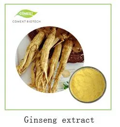 Ginseng Extract