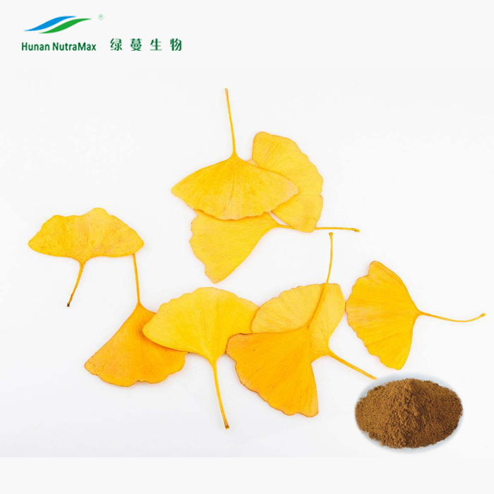 100% Natural Water Soluble 24% Ginkgolides /6% Flavonoids Ginkgo Biloba Leaf Extract Powder