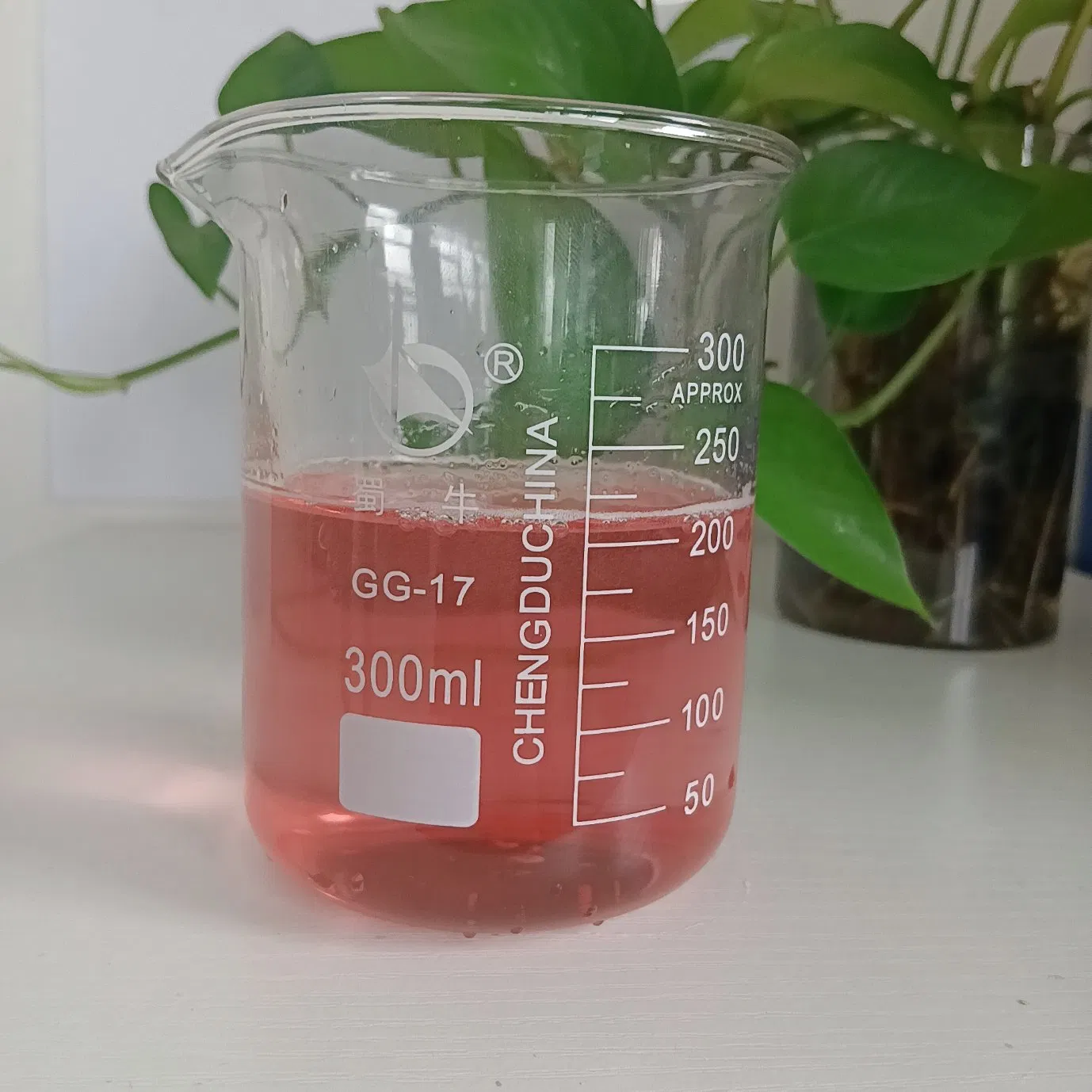 Instant Fruit Drink Powder Cranberry Juice Powder Cranberry Extract