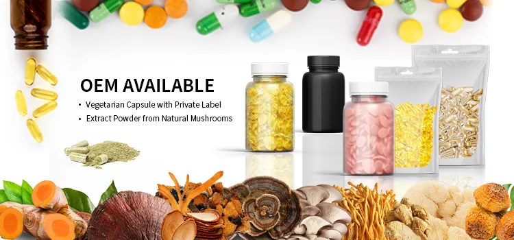 Oyster Mushroom Capsule