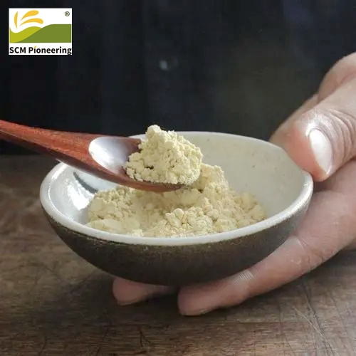 Wholesale Price Ginger Extract 10: 1 Food Grade Ginger Extract Powder