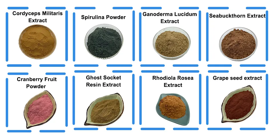 Recommended Products