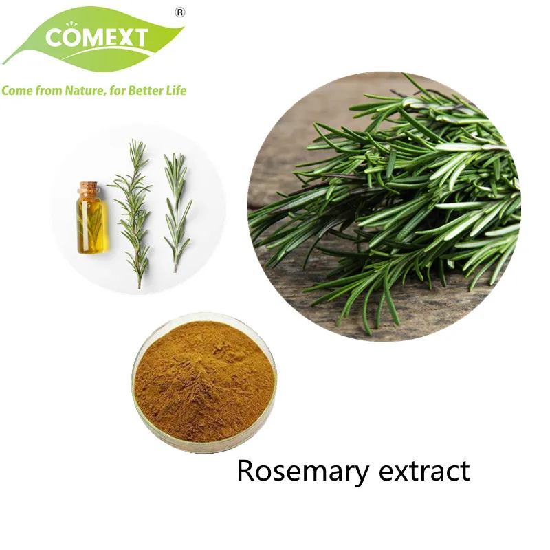 Rosemary Extract Powder