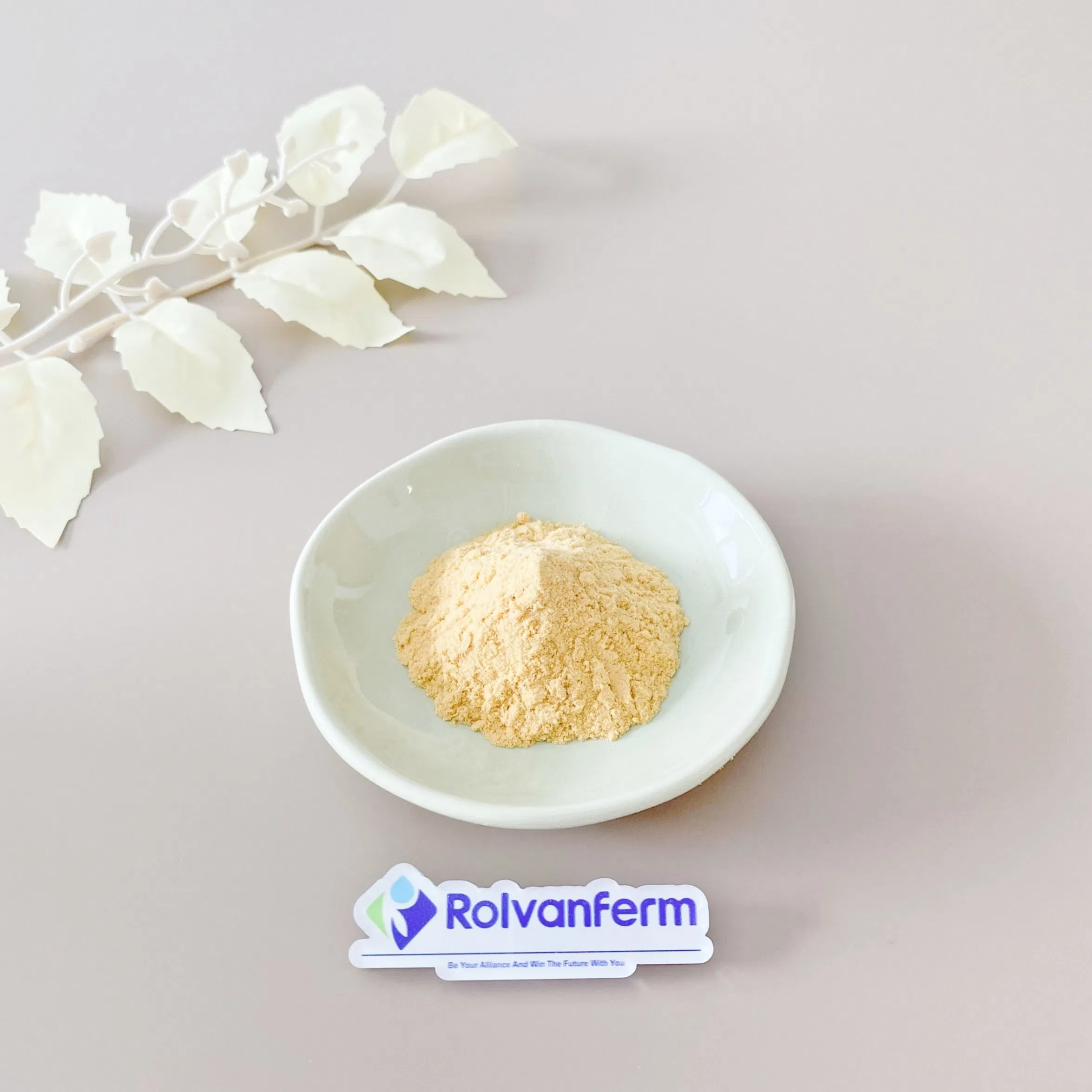 Standardized High Purity Fucoidan Extract From Undaria Pinnatifida or Fucus Vesiculosus for Consistent Bioactivity and Potency in Supplements Fucoidan