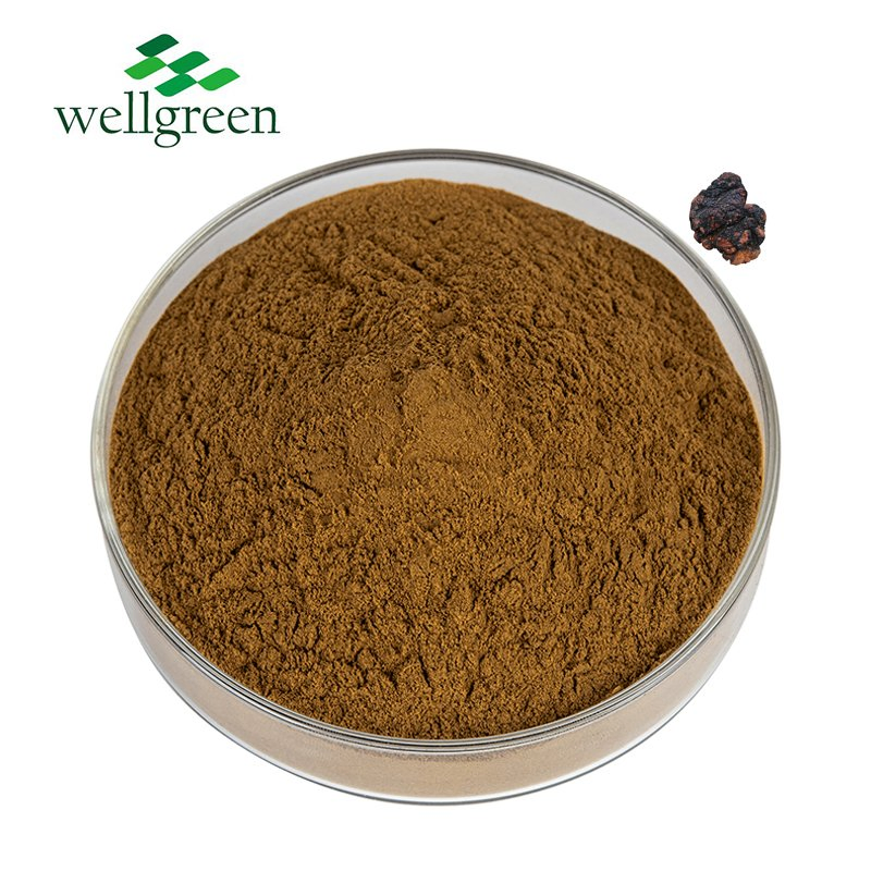 Natural Ingredients Herbal Extract Supplement Chaga Mushroom Extract Powder