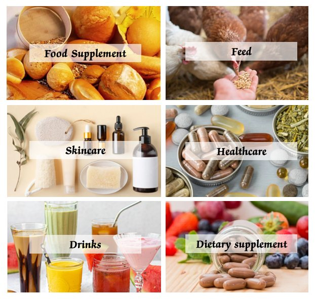 Plant Extract Water Soluble Food Grade Ascophyllum Nodosum Extract