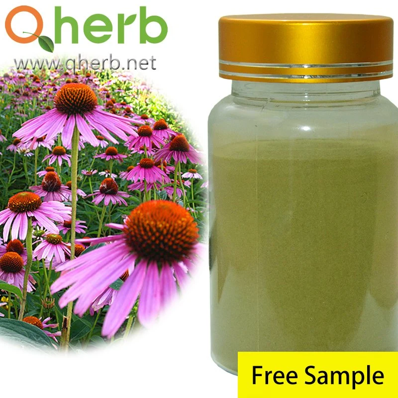 Cichoric Acid Organic Echinacea Purpurea Extract
