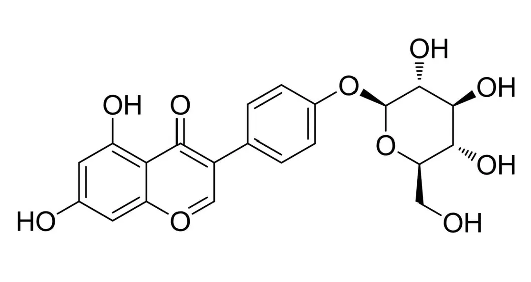 Sophoricoside Extraction Process