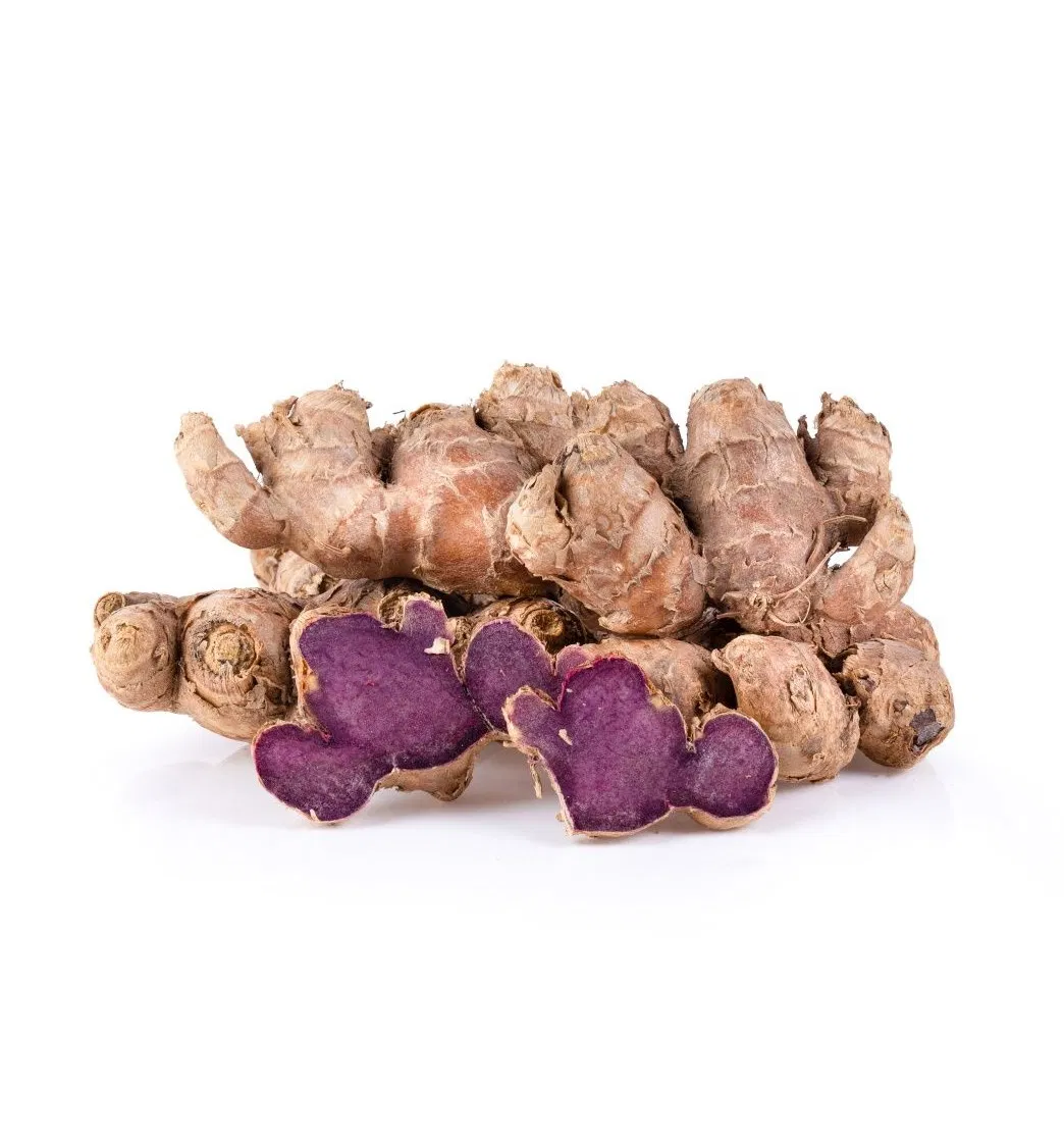 Standardized Black Ginger Extract 10% 5, 7-Dimethoxyflavone Premium Kaempferia Parviflora Extract for Nutraceutical &amp; Cosmetic Applications