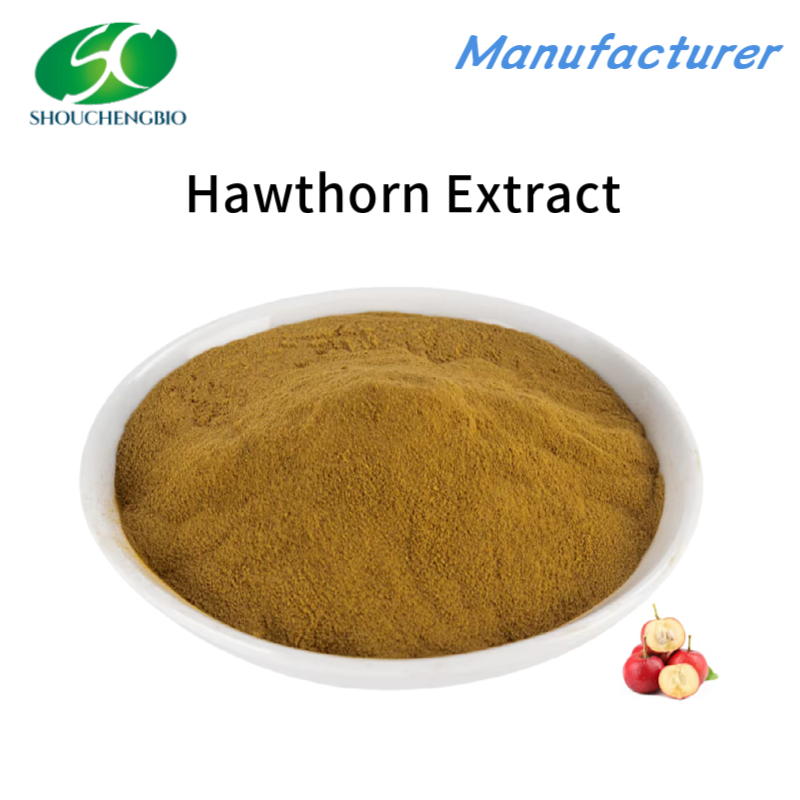 High Quality Hawthorn Extract Hawthorn Extract Powder