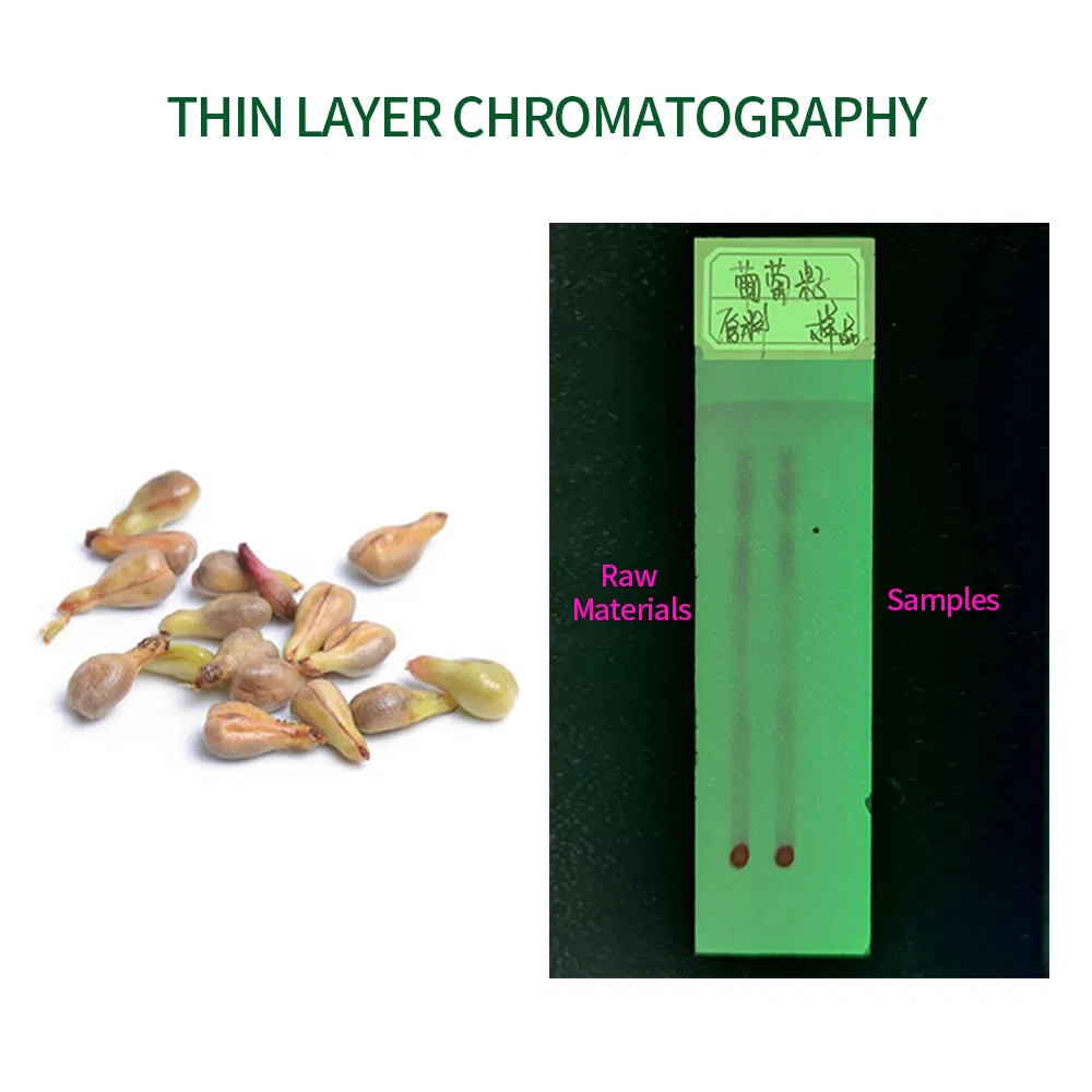 Grape Seed Extract Analysis