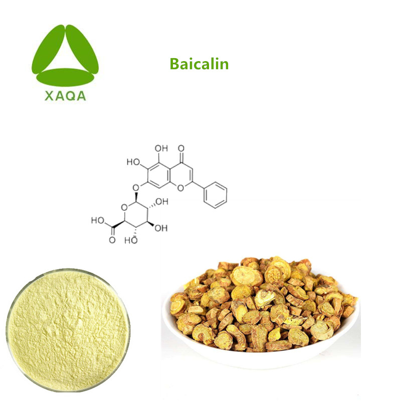 Natural Baicalin Supplement Pure 98% Baicalin Powder