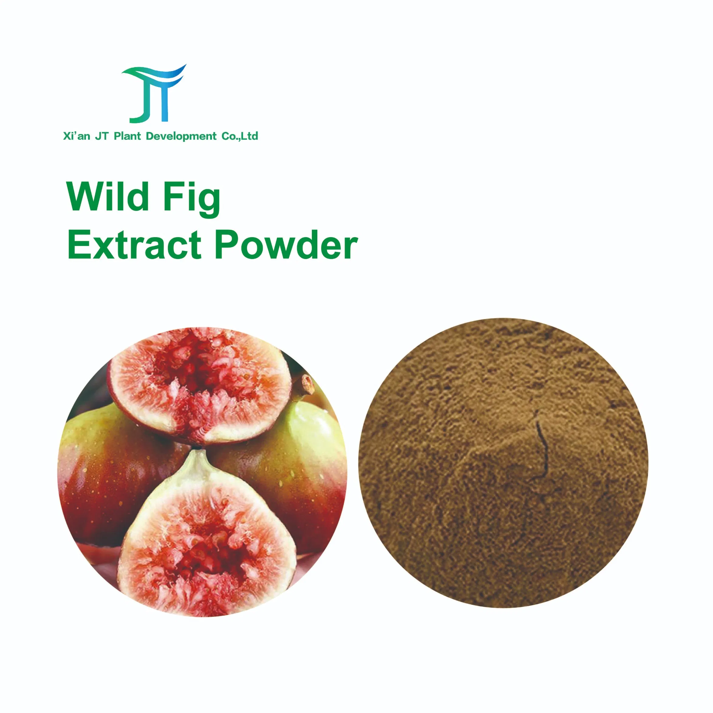 Best Price High Quality Wild Fig Extract Ficus Carica Extract 4: 1 10: 1 Water Soluble