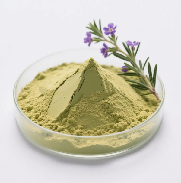 High Purity Plant Exract Herbal Extract Carnosic Acid Organic Rosemary Extract Powder