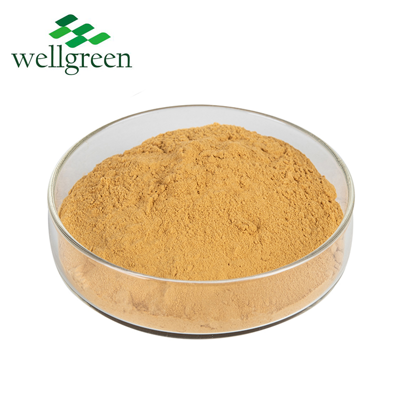 Bulk Sale Angelica Root Extract Powder Natural Herbal Angelica Extract