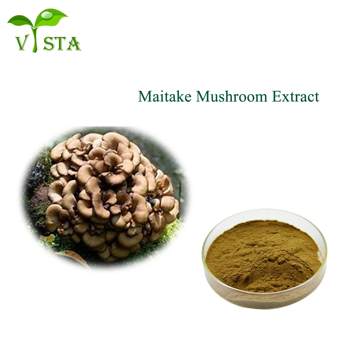 Wholesale Plant Extract Factory Supply High Quality Food Grade Grifola Frondosa Extract 10%~50% Polysaccharides Maitake Mushroom Extract