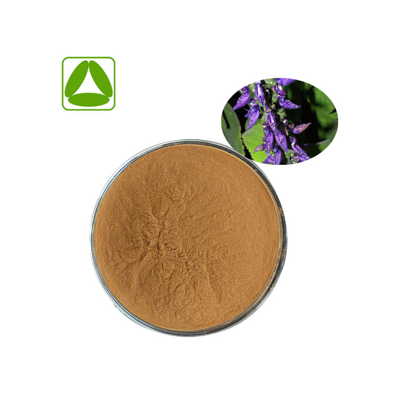 Factory Supply Coleus Forskohlii Extract Powder Coleus Barbatus Extract Standardized Forskolin Bioactive OEM ODM CAS 66575-29-9 Manufacturer