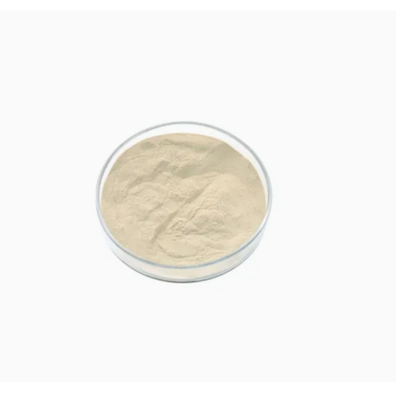 Factory CAS 88901-36-4 Monk Fruit Extract Mogrosides 10% 50% 70% 98% Mogroside V Powder