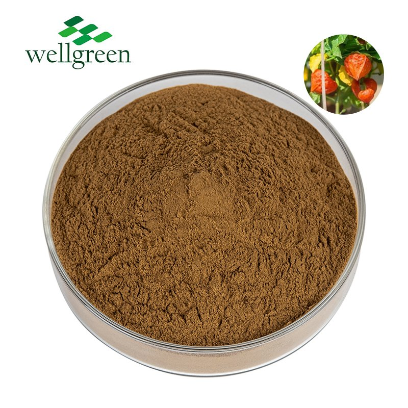 Standardized Withanolides 5% Ashwagandha Root Extract for Herbal Supplements with GMP ISO (Powder, Withania Somnifera)