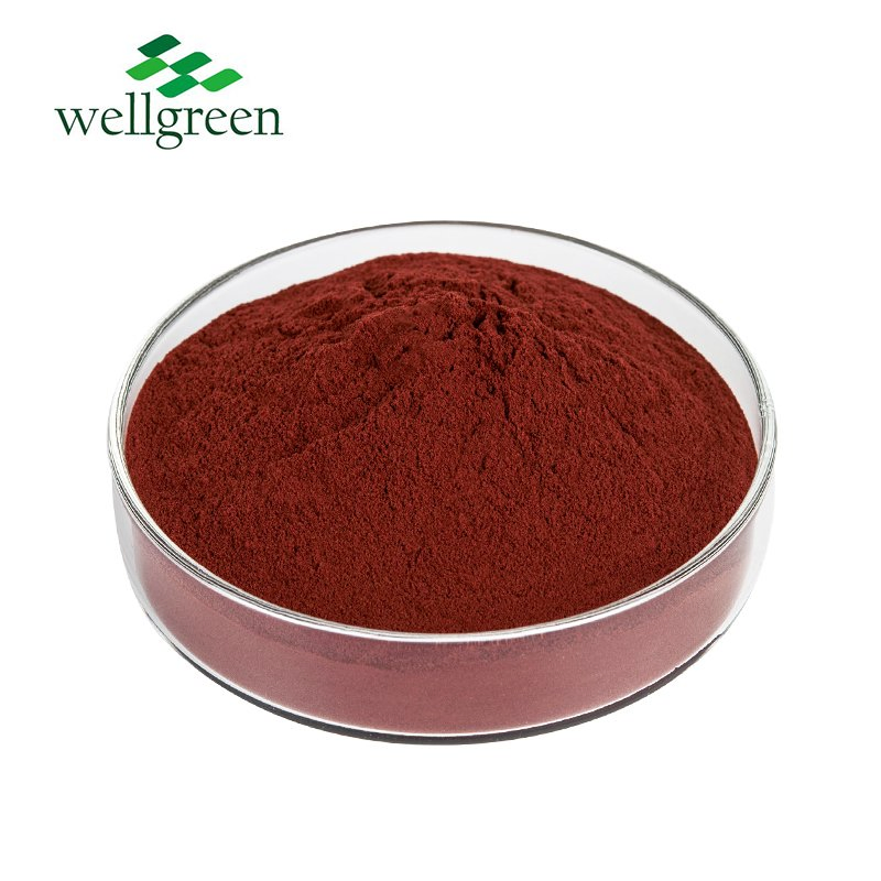 Feed Additive Bulk Price Powder Liquid Root Schidigera Yucca Extract