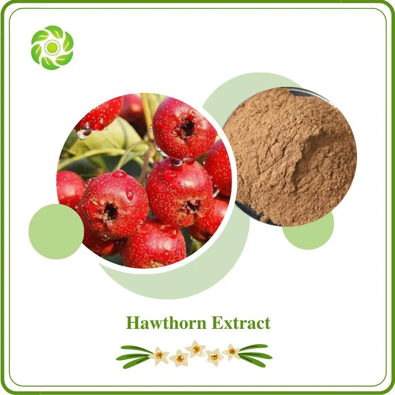 Hawthorn Extract