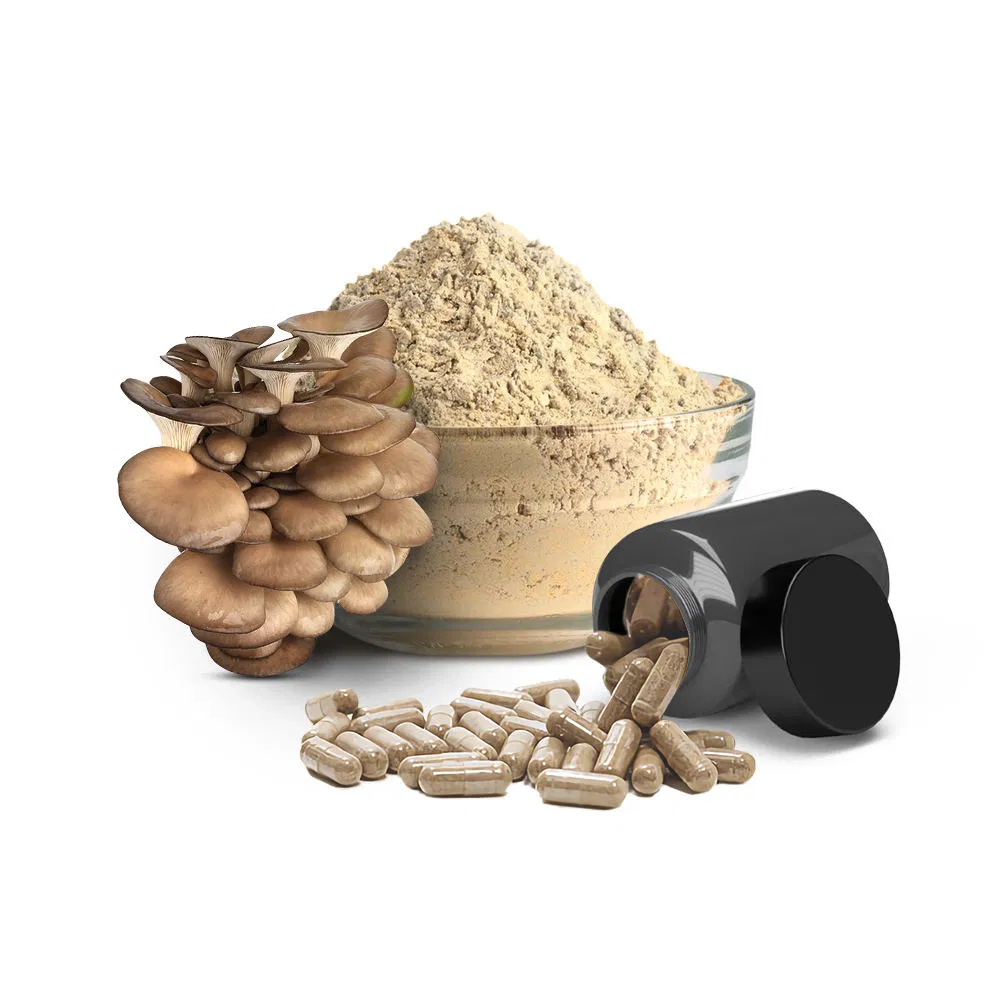 Pure Organic Extract Oyster/Pleurotus Ostreatus Mushroom Powder Capsule Medicinal Mushroom Extract