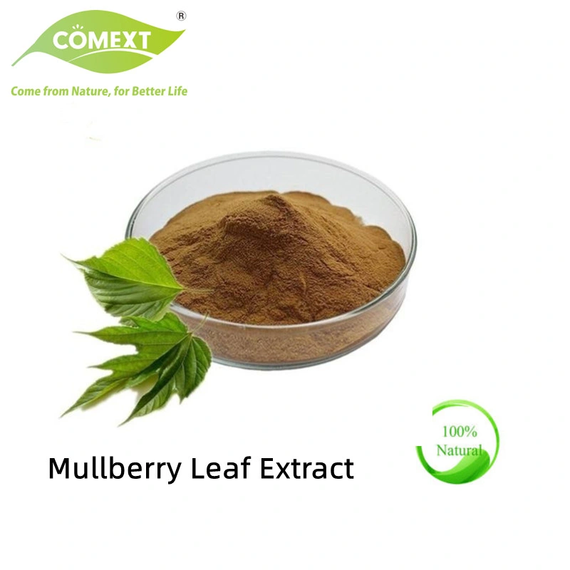 Comext China Manufacturer Free Sample 1% 2% 5% 10% HPLC 1-Deoxynojirimycin Dnj Powder Polysaccharides Morus Alba White Mulberry Leaf Extract for Blood Sugar