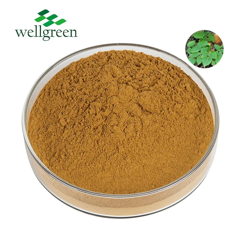 Standardized Icariin Powder